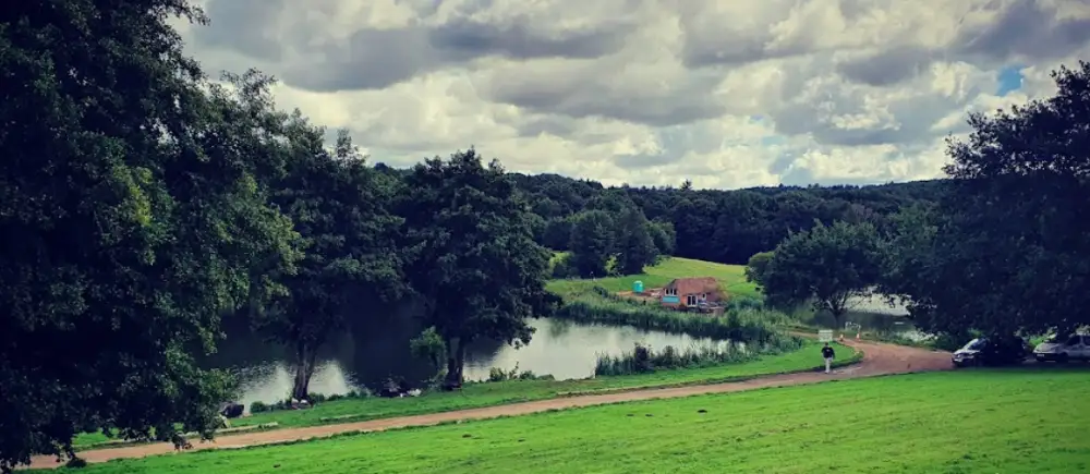 Alders product images layers Harris hawk on a visitors fist during he falconry experience near London