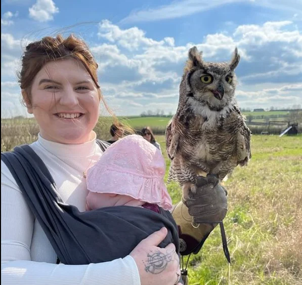 Falconry experience reviews 6 Alexander the great horned owl Bubo virginianis on visitors fist while she holds baby