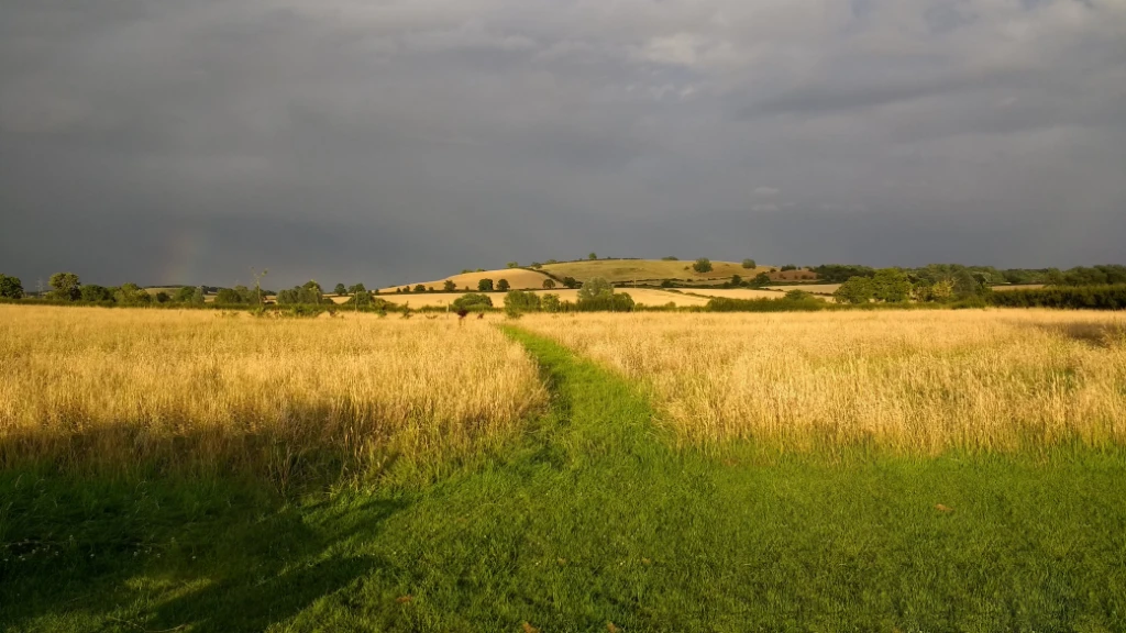 Alders product images layers Open skies at Bird on the Hand in Market Harborough. Sunshine and dark skies together.