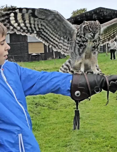 Kids owl dotty boy hawley