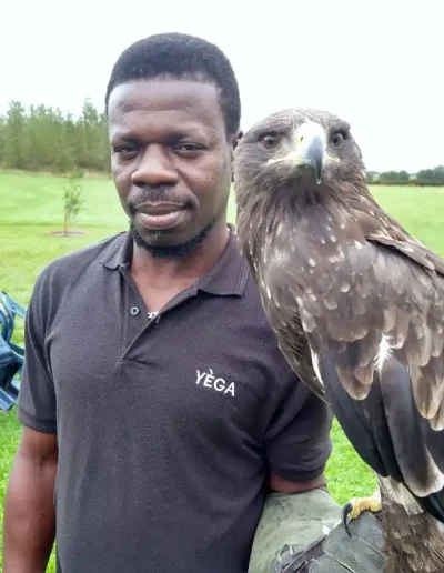 Yega with Eddi the tawny eagle 1