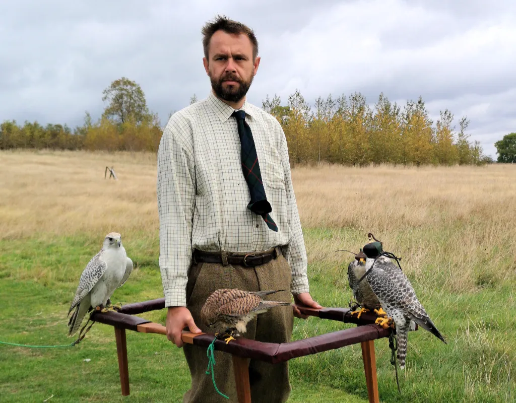Duncan with falcons on a traditional falconer's cadge Duncan with falcons on a traditional falconer's cadge