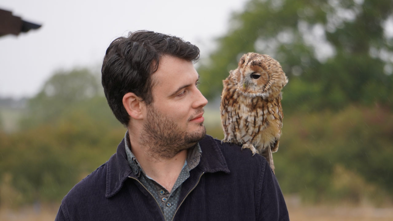 Alders product images layers Visitor with owl on his shoulder