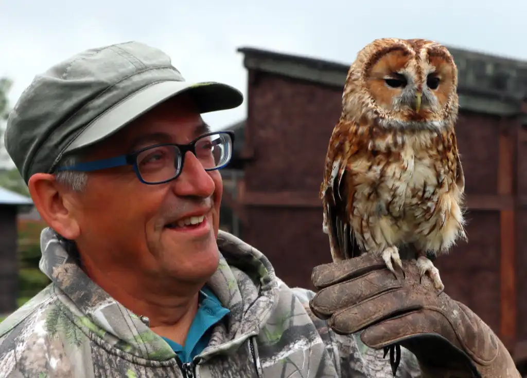 Alders product images layers Amazing. Man admiring our tawny owl up close while he hold it on his fist.