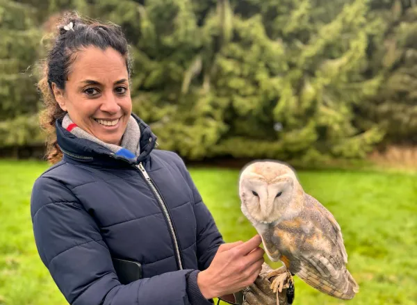 alders Zofia and Juliet the barn owl on a falconry experience london alders Zofia and Juliet the barn owl on a falconry experience london
