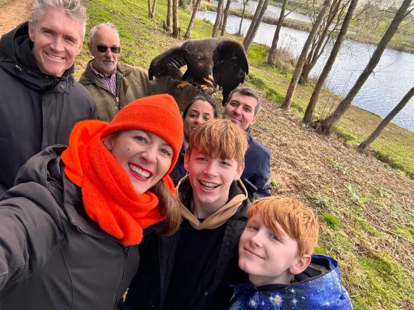 Alders product images layers Harris hawk on a visitors fist during he falconry experience near London