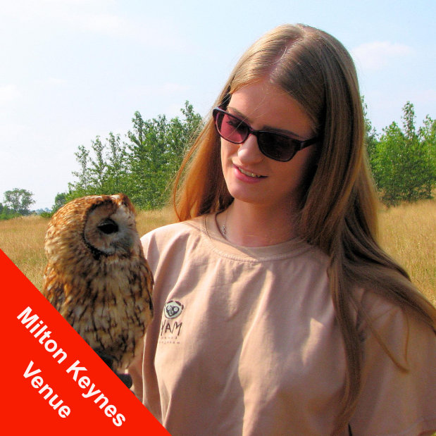 Alders Girl with sunglasses and tawny owl on her fist Girl with sunglasses and tawny owl on her fist. Fletcher is a regular star on our falconry experience near London.
