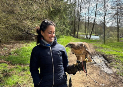 Buckinghamshire Venue 6 Alexander the Great horned owl in the woods at Alders Farm
