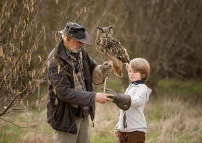 Leicestershire Falconry 4 Boy getting Elvis Eurasian eagle owl placed on his fist