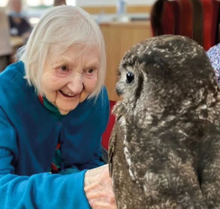 Alders product images layers Care Home Bingo the owl and lady