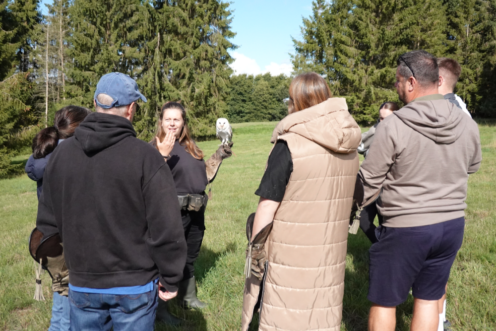 Alders product images layers Group chat with Juliet the barn owl at Alders Farm during a falconry experience near London.