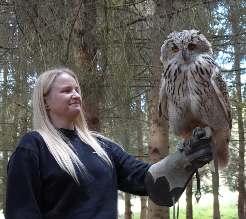 Alders product images layers Woman on falconry experience at Alders Farm with priscilla the siberian eagle owl on her fist
