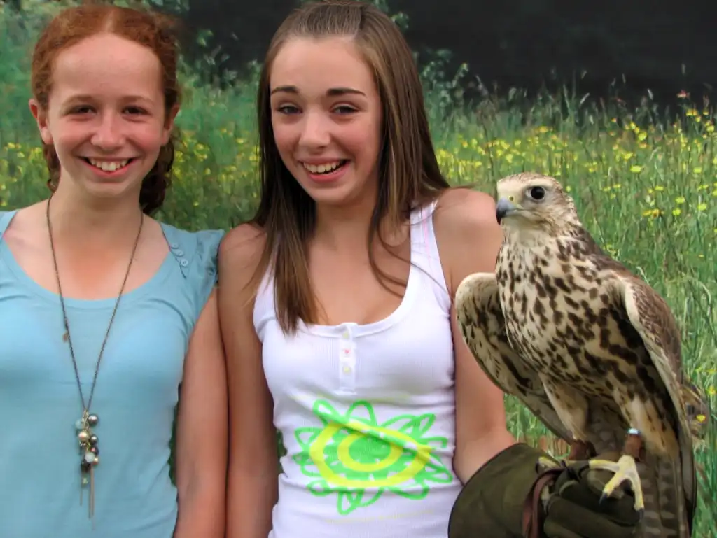 Alders product images layers Two girls with a saker falcon